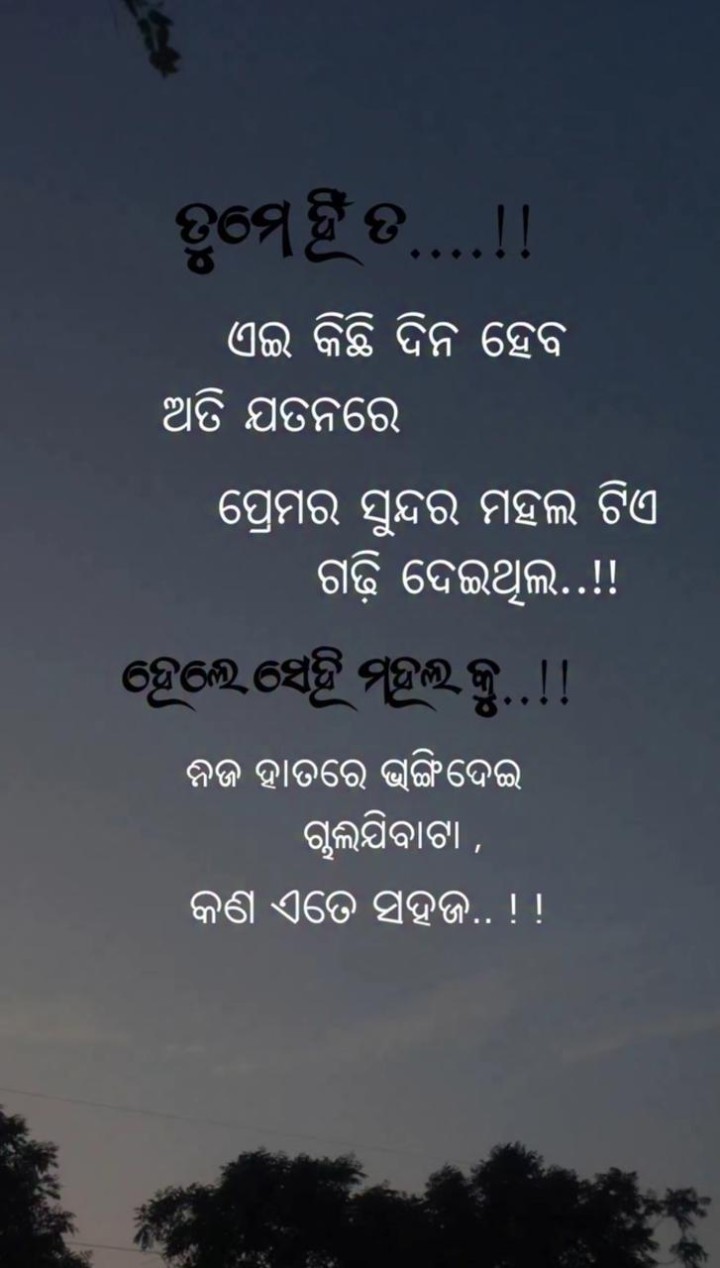 ତୁମେ ହିଁ ତ ଏଇ କିଛି ଦିନ ହେବ ଅତି ଯତନରେ ପ୍ରେମର ସୁନ୍ଦର ମହଲ ଟିଏ