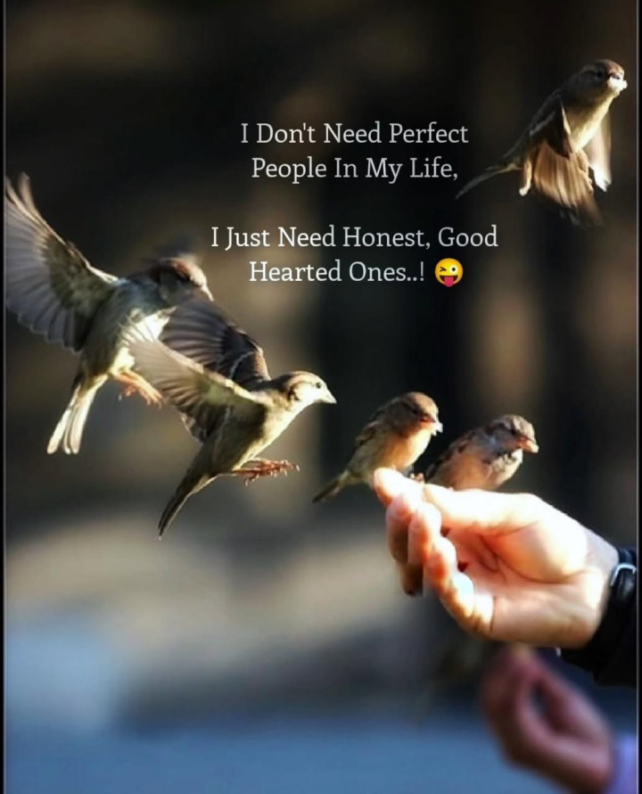 I don't need perfect