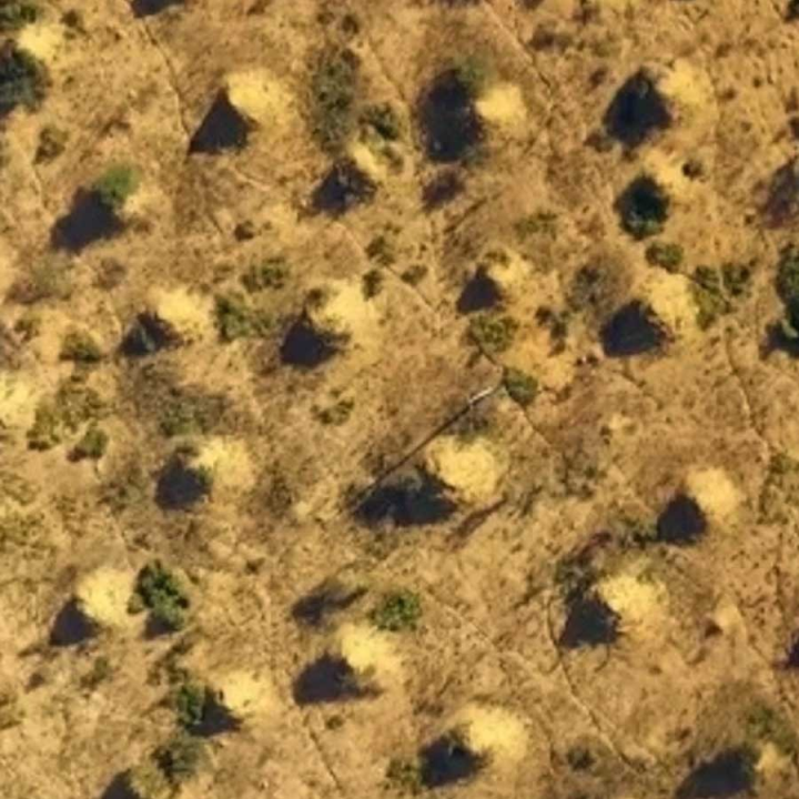 প্রায় চার হাজার বছরের পুরনো কাঠামো। একটা-আধটা নয়, মাইলের পর মাইল জুড়ে রহস্যময় ঢিবি ছড়িয়ে রয়েছে বিস্তীর্ণ এলাকা জুড়ে। পিরামিডের মতো ঢিবিগুলি যে পরিমাণ জায়গা নিয়ে রয়েছে, সেটি আয়তনে ব্রিটেনের সমান। উত্তর-পূর্ব ব্রাজ়িলের কাটিঙ্গা অঞ্চলে দেখা মেলে অদ্ভুত তিনকোনা শুকনো মাটির কোটি কোটি ঢিবির।