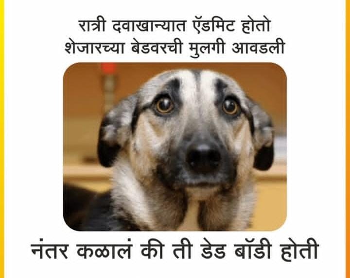 काय सांगू माझी व्यथा