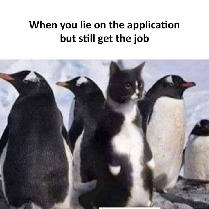 are bhai bhai