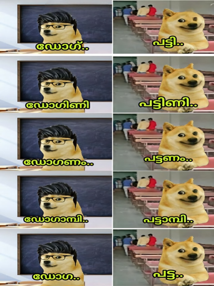 സിൽക്ക് = പട്ട്