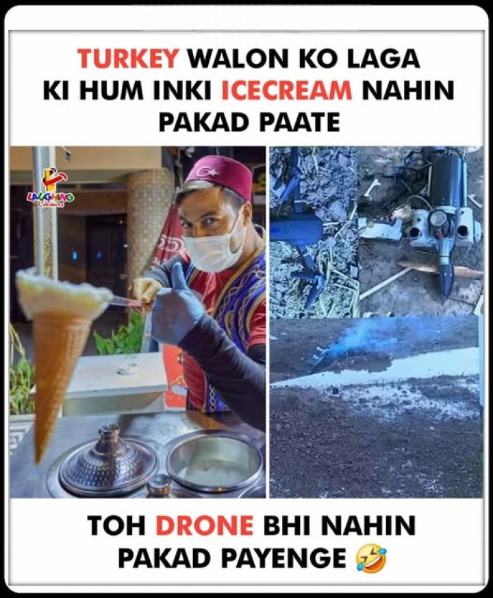 शरीफ हैं pagal nahi hai