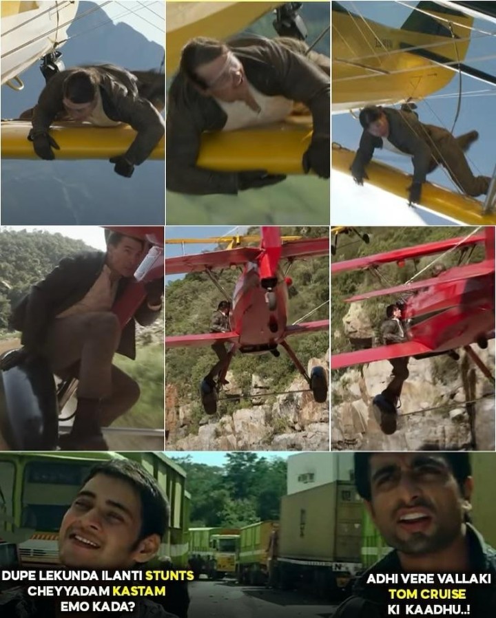 Adi tom cruise ante