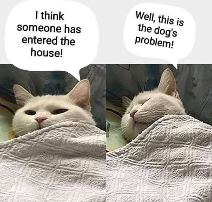 This is not My problem.