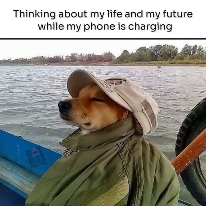 Time for phone charging.