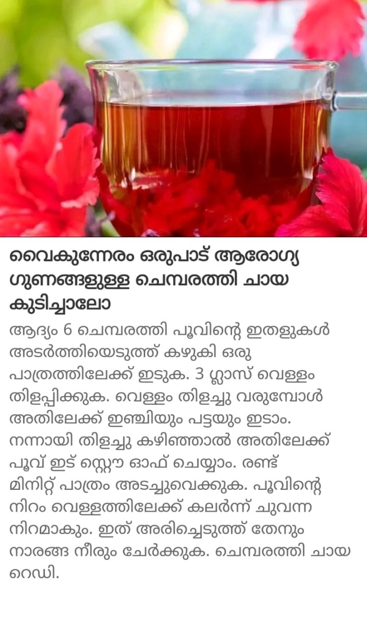 വൈകുന്നേരം ഒരുപാട് ആരോഗ്യ ഗുണങ്ങളുള്ള ചെമ്പരത്തി ചായ കുടിച്ചാലോ