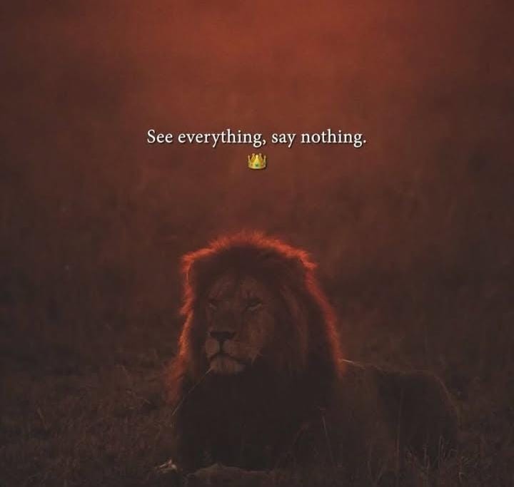 See Everything say nothing