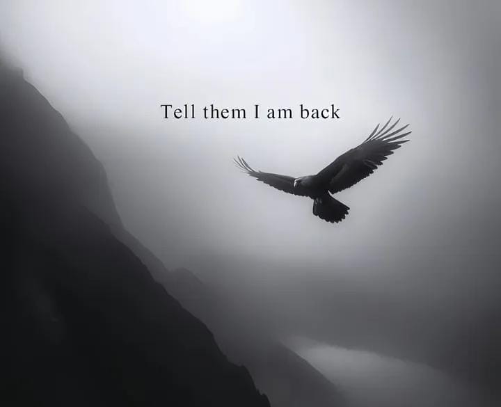 Tell them I am back