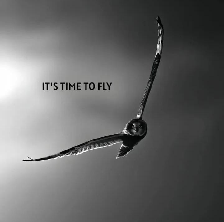 It's time to fly