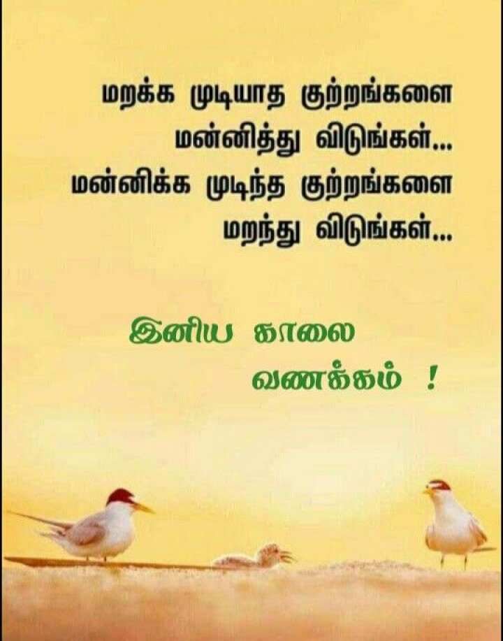 காலை வணக்கம்!