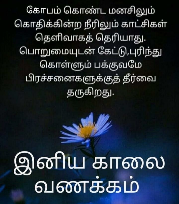 நாளைய நாள் உங்கள் வாழ்க்கையின் அற்புதமான நாளாக அமையும்..இனிய இரவு வணக்கம்.