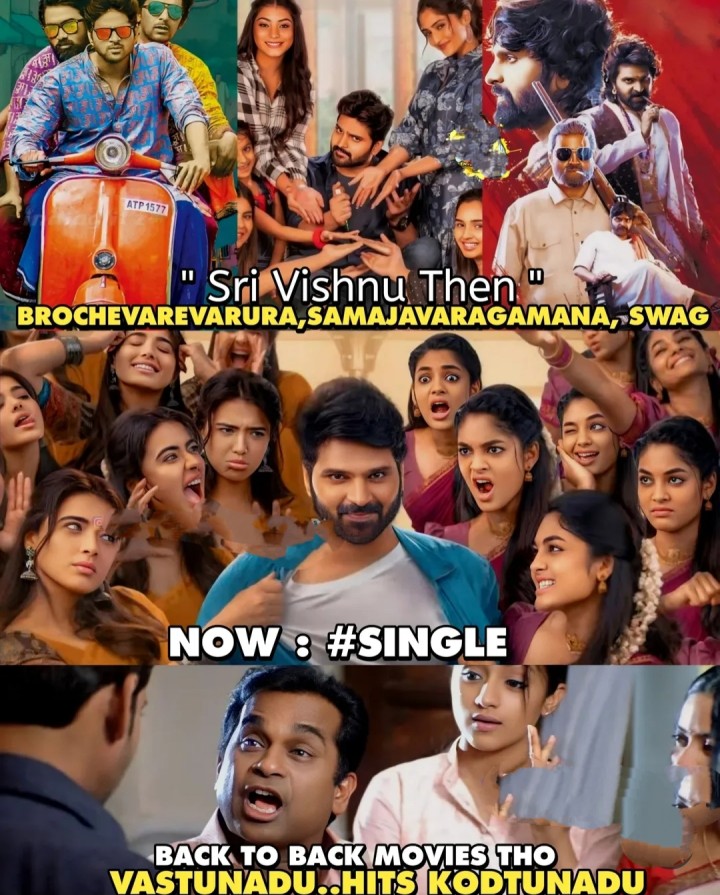 Varusaga hit movies chesthunnadu