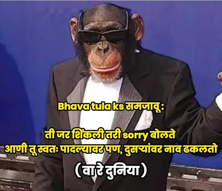 भावा तुला कसं समजावू ?
