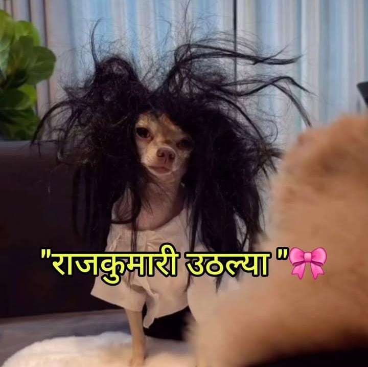 राजकुमारी उठल्या ?