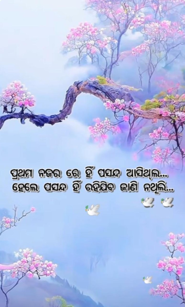 ପସନ୍ଦ ହିଁ ରହି ଯିବ ଜାଣି ନ ଥିଲି