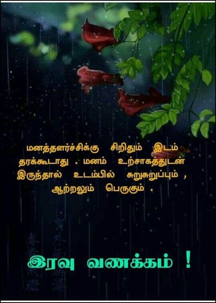 இனிய கனவுகள் காணுங்கள்!