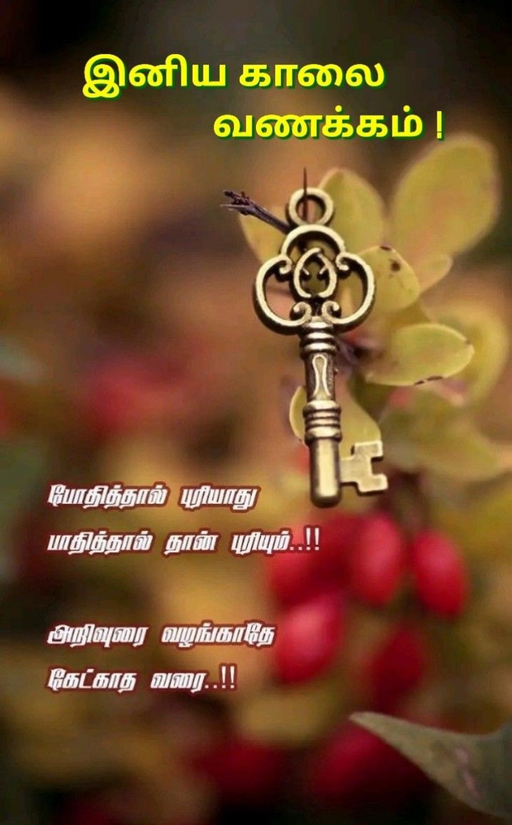 இன்று நாள் உங்களுக்குச் சிறப்பாக அமையட்டும்!