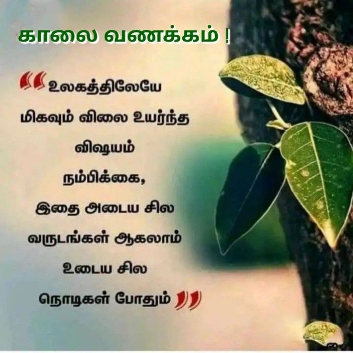 இன்றைய நாள் அழகாக இருக்கும் இனிய காலை வணக்கம்