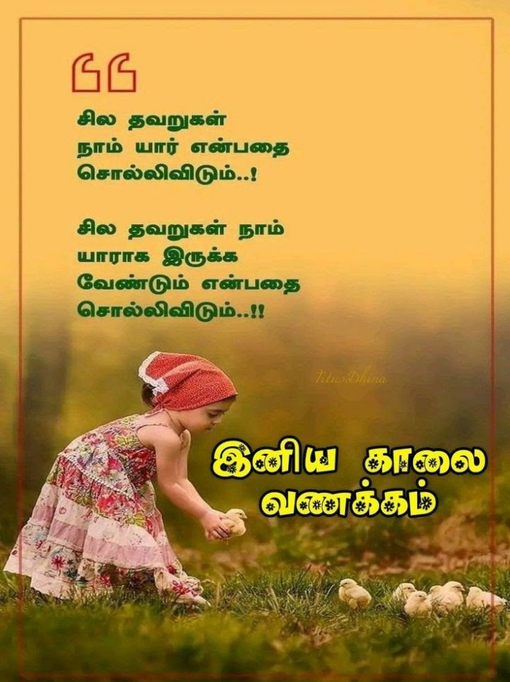 புத்துணர்ச்சி நிறைந்த காலை வாழ்த்துகள்!