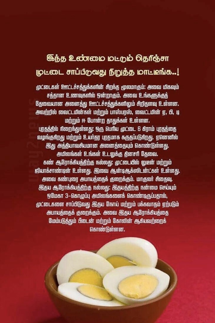 தினமும் ஆரோக்கியமாக வாழ, இன்றைய சிறந்த அறிவுரை!