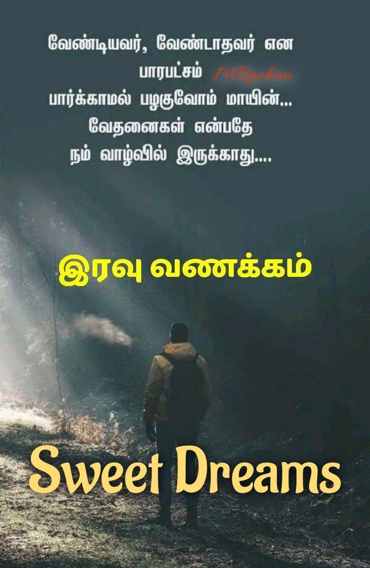 நிம்மதியாக உறங்கு..இனிய இரவு வணக்கம்
