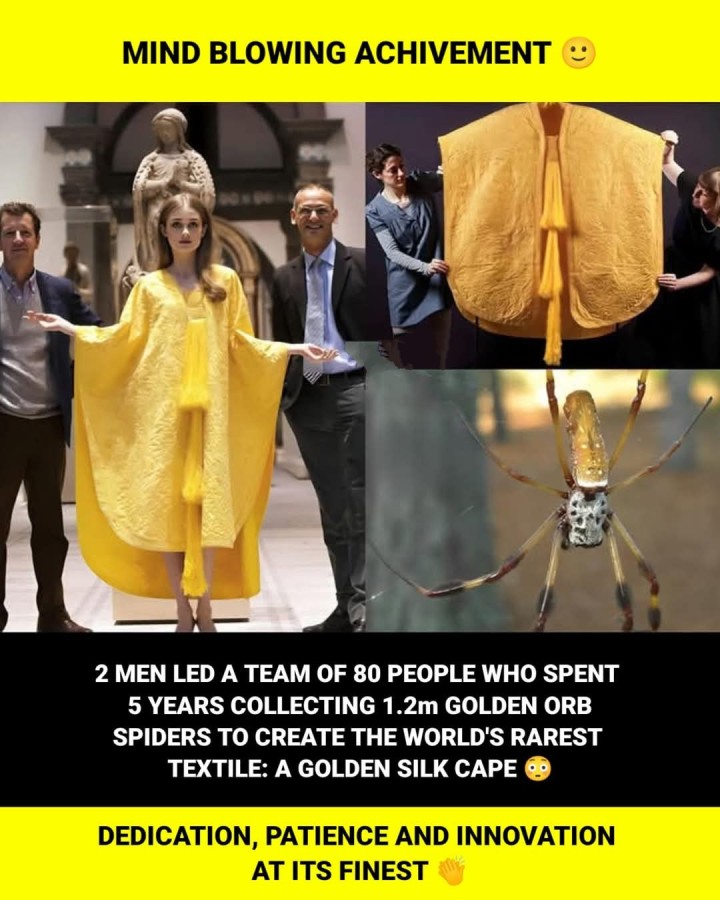 MIND BLOWING ACHIVEMENT