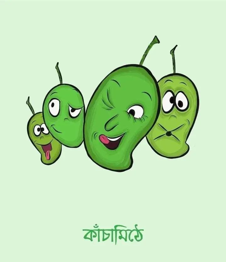 আমের নামের বাহার।