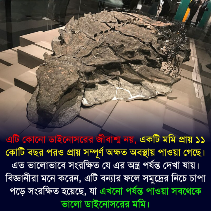 ডাইনোসরের মমি?