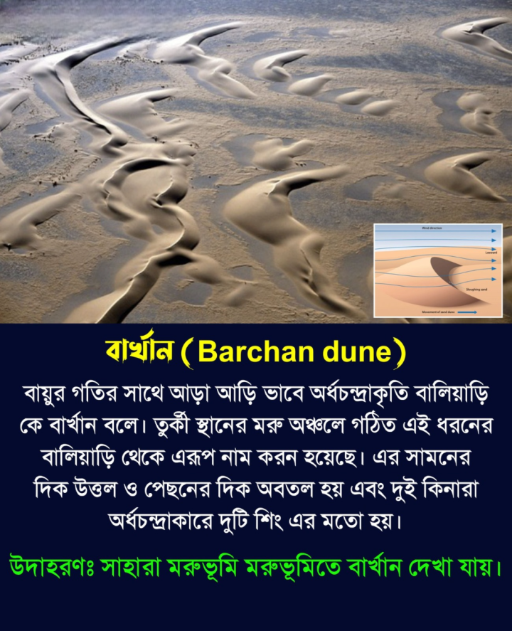 বার্খান- বায়ু প্রবাহের গতিপথে আরা-আড়ি ভাবে গঠিত বালিয়াড়ি কে বার্খান বা তীর্যক বালিয়াড়ি বলে।
