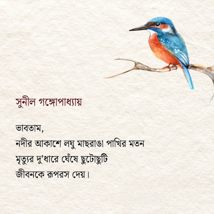 নদীর আকাশে লঘু মাছরাঙা পাখির মতন।