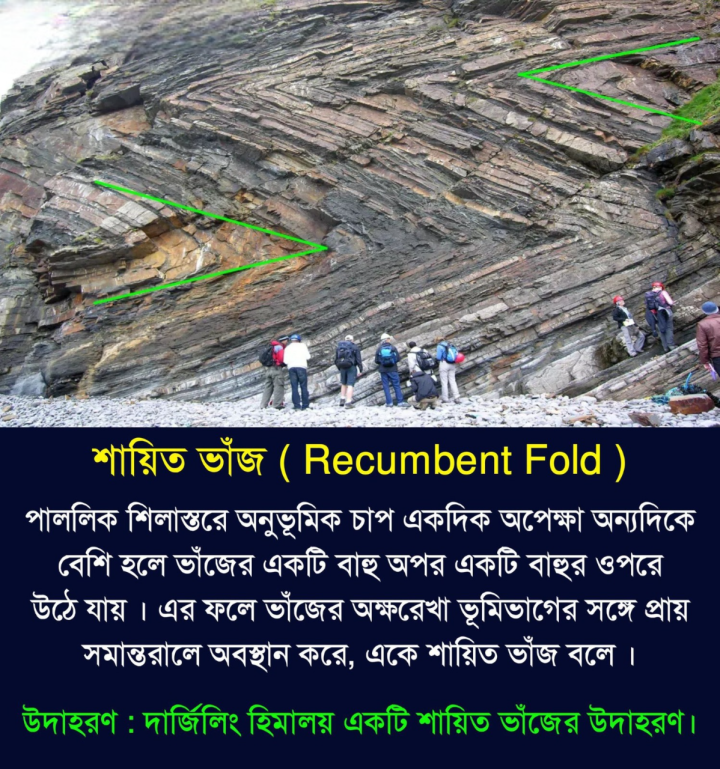 সমান্তরালে অবস্থান করে এবং ভাঁজের একদিকের বাহু অন্যদিকের বাহুর ওপর পুরোপুরি উঠে যায় , তাকে শায়িত ভাঁজ বলে ।