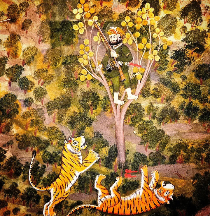 The Paintings of the City Palace, Udaipur.