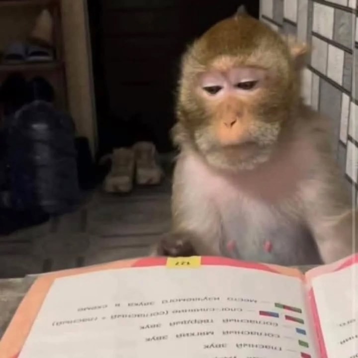 Study time