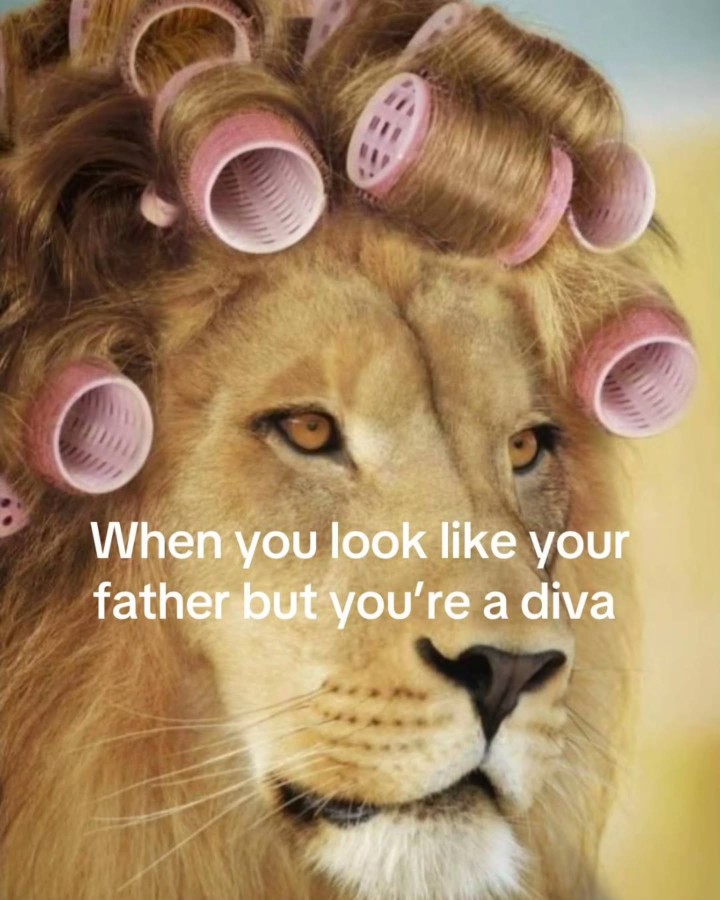 You're a diva