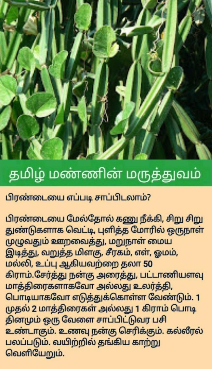 ஹெல்த் டிப்ஸ்