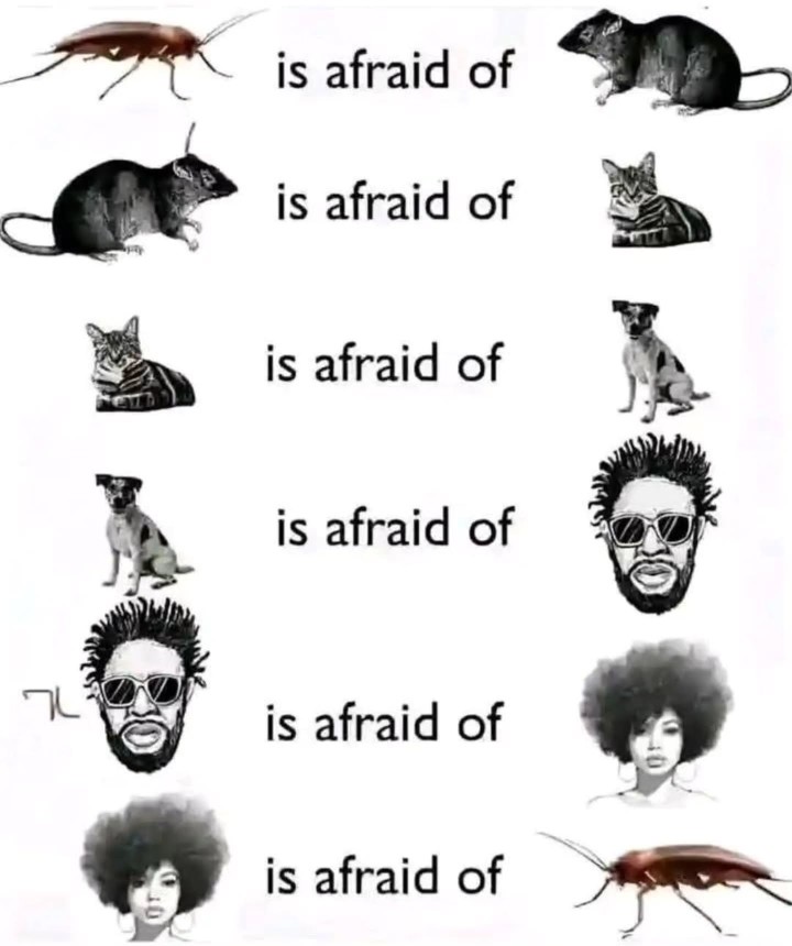 life cycle