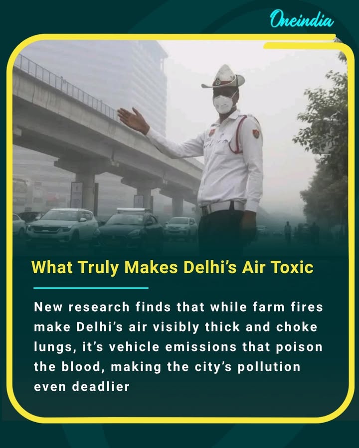 New research finds that while farm fires make Delhi’s air visibly thick and choke lungs, it’s vehicle emissions that poison the blood, making the city’s pollution even deadlier
