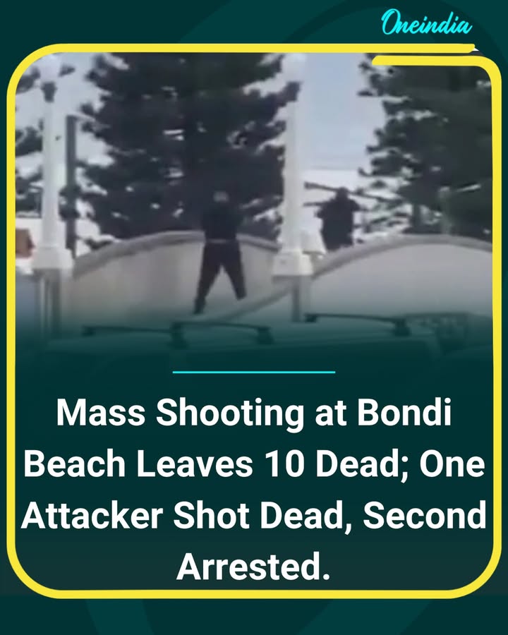 At least 10 people have been killed after two gunmen opened fire at Australia’s Bondi Beach. One attacker was shot dead, while the other has been taken into custody. Authorities have launched an investigation.