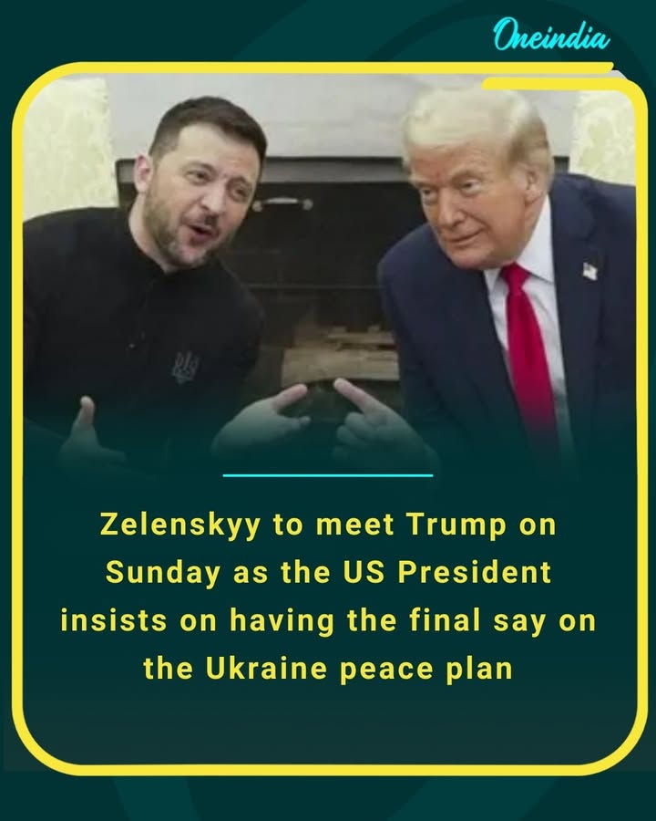 Zelenskyy to meet Trump on Sunday as the US President insists on having the final say on the Ukraine peace plan