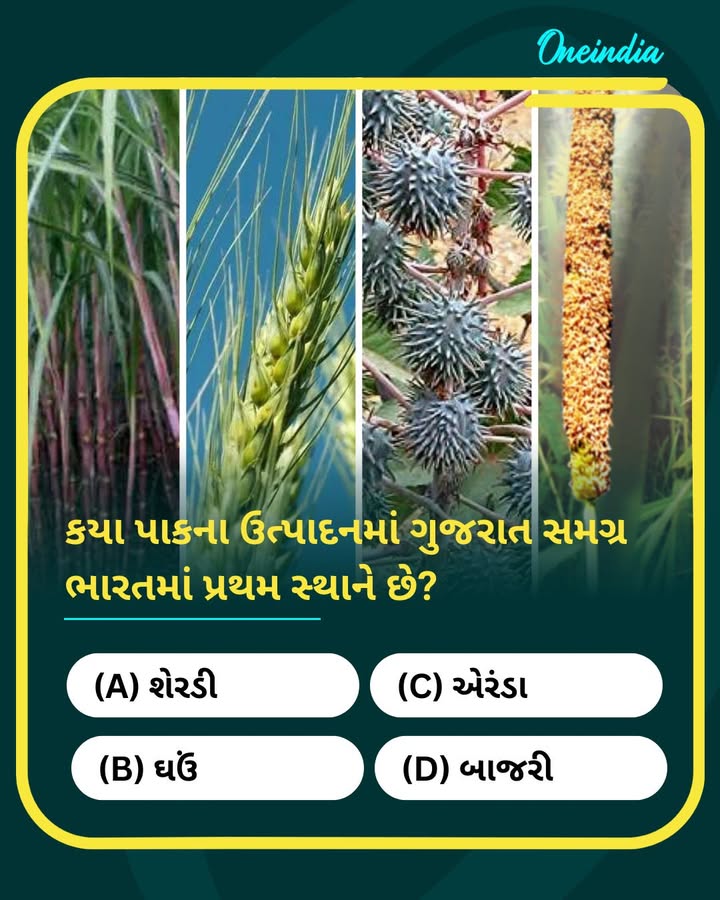 કયા પાકના ઉત્પાદનમાં ગુજરાત સમગ્ર ભારતમાં પ્રથમ સ્થાને છે?