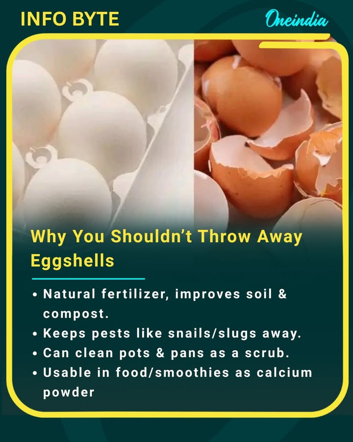 Don’t toss eggshells! Reuse them for health, gardening, and cleaning benefits.