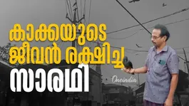 Retired KSRTC driver Kishore saves a crow’s life by performing CPR after it collapsed due to an electric shock in Koduvally