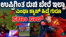 Phil Salt dives for a sensational catch in the IPL for Royal Challengers Bengaluru