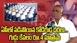 Poultry Industry in Crisis? Egg Prices Crash to 4 rupees in Andhra Pradesh