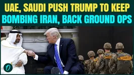 UAE, Gulf Allies JOIN U.S. On Ground Invasion? Push Trump To Continue BOMBING After Iran Strikes