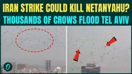 Iran to OBLITERATE Tel Aviv, KILL Netanyahu? Crows SWARM Tel Aviv Sky | Internet Cries ‘BAD OMEN’
