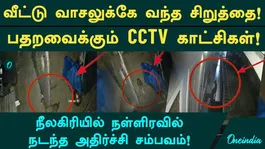 Leopard Enters Residential Area: Shocking Footage of Attempt to Hunt Dogs! | CCTV Video | Coonoor