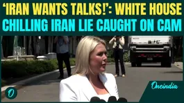 ‘Iran BEGGED Trump for Talks’: Karoline Leavitt LIES ON CAM, Says Witkoff, Kushner HEADED to Pak