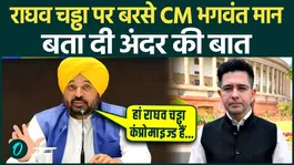 CM Bhagwant Mann's Major Statement on Raghav Chadha: Admits Raghav Is 'Compromised'
